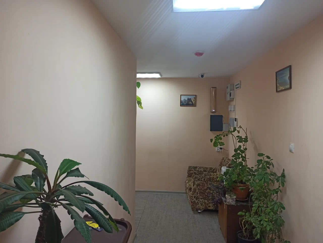 Превью 3